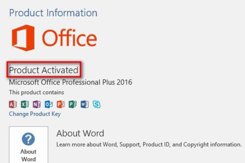 Hướng Dẫn Cài Office 2016 Cho Windows Và MacOS