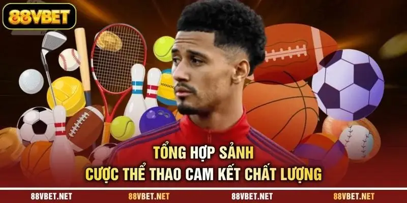 Tổng hợp sảnh cược thể thao cam kết chất lượng Tổng hợp sảnh cược thể thao cam kết chất lượng